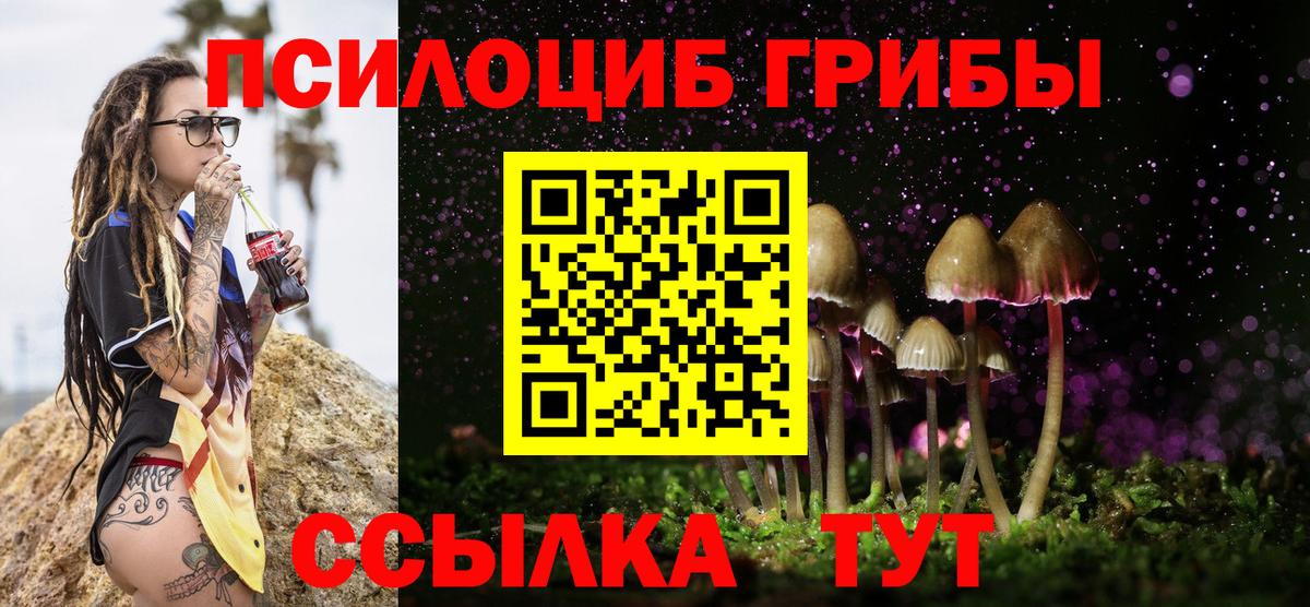 Галлюциногенные грибы Psilocybe  Вход с VPN  Торжок 